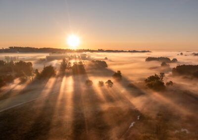 Nebelstimmung am Morgen mit Sonnenstrahlen.