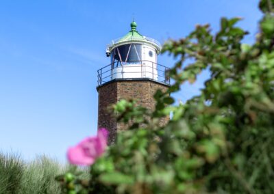 Leuchturm verdeckt von einer Rose.